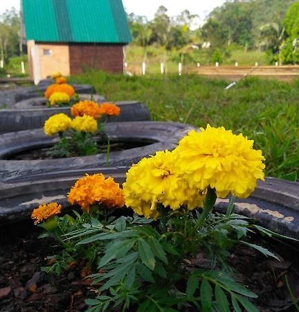 Pousada Rancho Verde Pomerode Eksteriør bilde