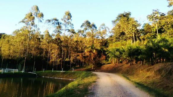 Pousada Rancho Verde Pomerode Eksteriør bilde