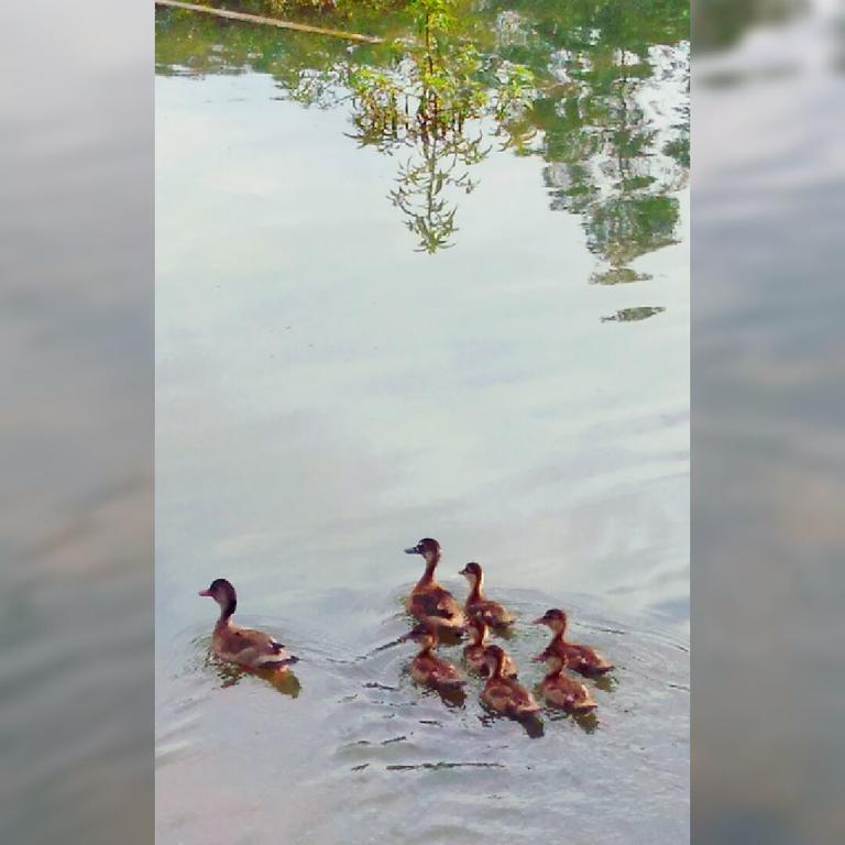 Pousada Rancho Verde Pomerode Eksteriør bilde