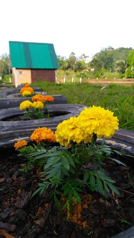 Pousada Rancho Verde Pomerode Eksteriør bilde